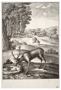 El ciervo. Estado 2 de Wenceslaus Hollar
